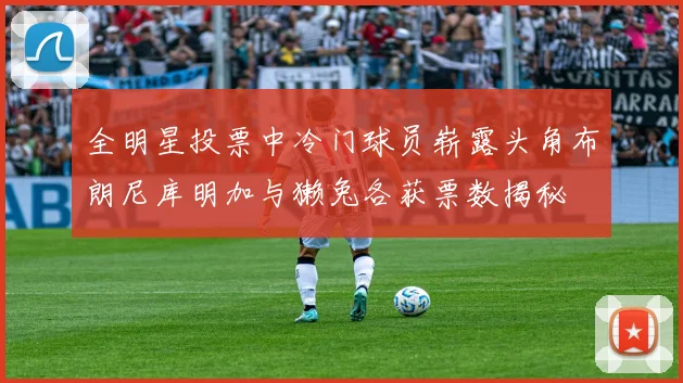 全明星投票中冷门球员崭露头角布朗尼库明加与獭兔各获票数揭秘